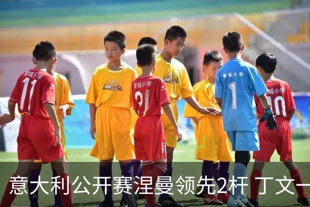 意大利公开赛涅曼领先2杆 丁文一吴阿顺晋级决赛