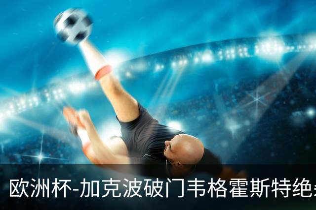 欧洲杯-加克波破门韦格霍斯特绝杀 荷兰2-1波兰