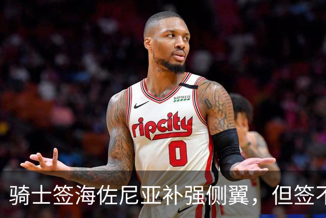 骑士签海佐尼亚补强侧翼，但签不下库明加就是失败